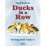 Ducks in a Row -David Bobrowitz