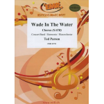 Wade In The Water -Ted Parson