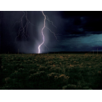 Lightning Field - John Mackey