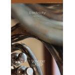 Electricity -Daniel Bukvich