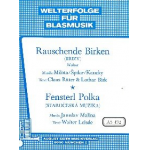 Rauschende Birken / Fensterl Polka