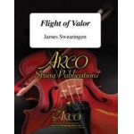Flight Of Valor - James Swearingen