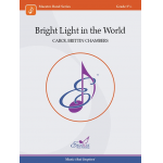 Bright Light in the World - Carol Brittin Chambers