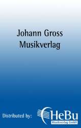 Mein schönes Innsbruck am grünen Inn (Gesang und Klavier) - Hugo Morawetz & Adolf Denk (Text)