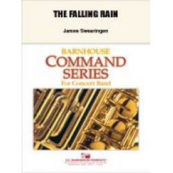 The Falling Rain - James Swearingen