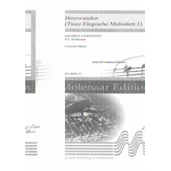 Herzwunden (Twee Elegische Melodien 1) - Edvard Grieg / Arr. Pieter Jan Molenaar