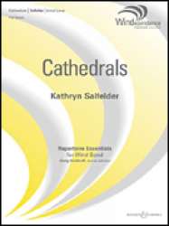Cathedrals - Kathryn Salfelder