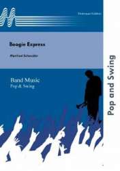 Boogie Express - Manfred Schneider