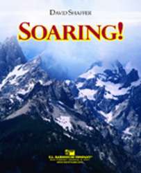 Soaring! - David Shaffer
