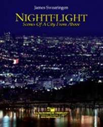 Nightflight - Scenes from a City from Above - James Swearingen