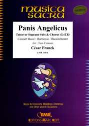 Panis Angelicus - César Franck / Arr. Tom Connors