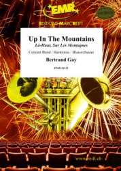 Up In The Mountains - Bertrand Gay
