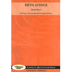 Fifth Avenue -Harm Jannes Evers