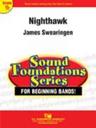 Nighthawk - James Swearingen