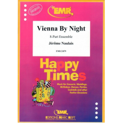 Vienna By Night - Jérôme Naulais