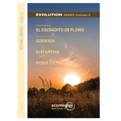 Evolution Series Volume 5 - Diverse