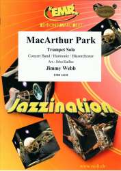MacArthur Park - Jimmy Webb / Arr. Jirka Kadlec
