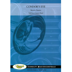 Condor's Eye -Benoit Chantry