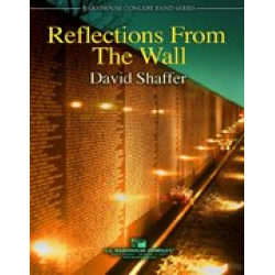Reflections From The Wall -David Shaffer