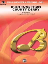 Irish Tune from County Derry - Anthony Maiello