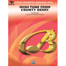 Irish Tune from County Derry -Anthony Maiello