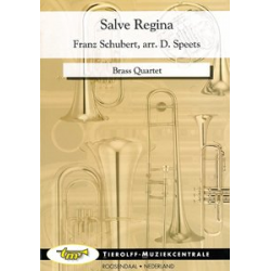 Salve Regina - Franz Schubert / Arr. Dirk Speets