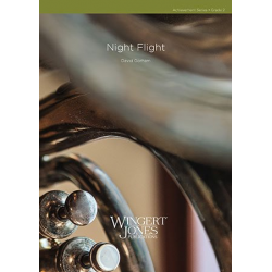 Night Flight - David W. Gorham