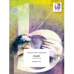 Flight - Adventure in the Sky - Benjamin Yeo