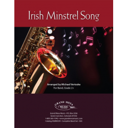 Irish Minstrel Song - Michael (Mike) Vertoske
