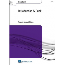 Introduction & Punk - Torstein Aagaard-Nilsen