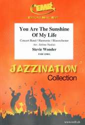 You Are The Sunshine Of My Life - Stevie Wonder / Arr. Jérôme Naulais
