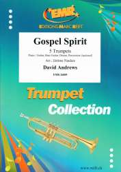 Gospel Spirit - David Andrews / Arr. Jérôme Naulais