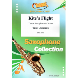 Kite's Flight - Tony Cheseaux
