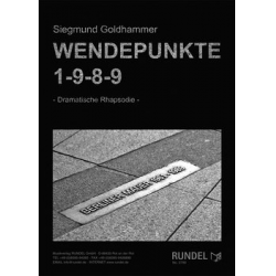 Wendepunkte 1-9-8-9 - Siegmund Goldhammer