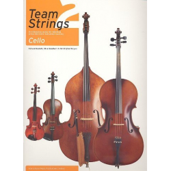 Team Strings vol.2 :
