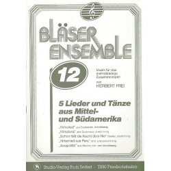 Bläser-Ensemble 12