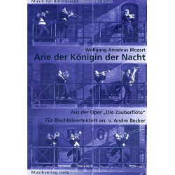 Arie der Königin der Nacht aus - Wolfgang Amadeus Mozart