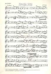 Concertino G-Dur : für Sopranblockflöte - John Baston
