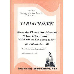 Variationen über ein Thema aus Mozarts "Don Giovanni": Reich mir die Hand, mein Leben, WoO 28 -Ludwig van Beethoven / Arr.Eugen Brixel