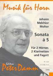 Sonata á 5 - Johann Melchior Molter