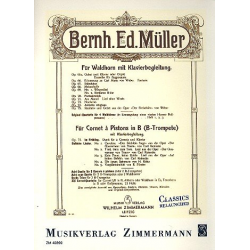 Andante religioso op.74 : für Waldhorn - Bernhard Eduard Müller