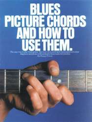 Blues picture chords and how - Happy Traum