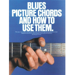 Blues picture chords and how - Happy Traum