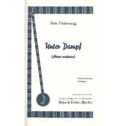 Unter Dampf : für Salonorchester - Alois Pachernegg