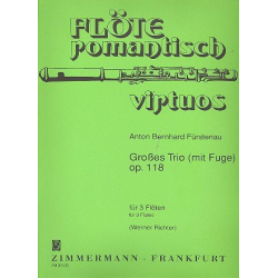 Grosses Trio mit Fuge op.118 : - Anton Bernhard Fürstenau / Arr. Werner Richter