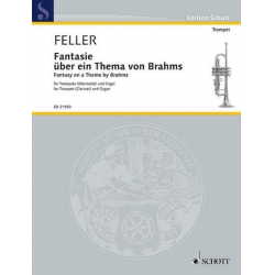 Fantasie über ein Thema von Brahms : - Harald Feller