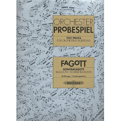 Orchester Probespiel : Fagott / Kontrafagott