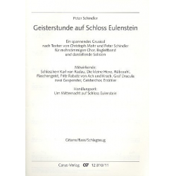 Geisterstunde auf Schloß Eulenstein - Gitarre / Baß / Schlagzeug - Peter Schindler