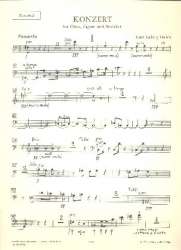 Konzert : - Hans Ludwig Hirsch