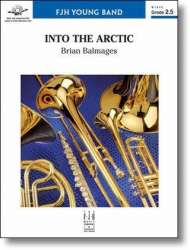Into the Arctic - Brian Balmages
